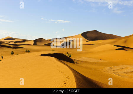 Erg Chegaga o Chigaga,cammelli,guide,Persone escursionismo,Tramonti,Camping,l'esperienza del Sahara, Lusso Tented alloggi,,Zagora,Marocco Foto Stock