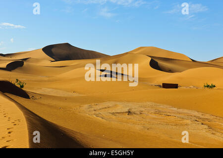 Erg Chegaga o Chigaga,cammelli,guide,Persone escursionismo,Tramonti,Camping,l'esperienza del Sahara, Lusso Tented alloggi,,Zagora,Marocco Foto Stock