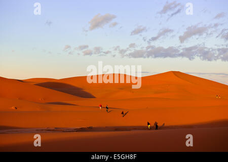 Erg Chegaga o Chigaga,cammelli,guide,Persone escursionismo,Tramonti,Camping,l'esperienza del Sahara, Lusso Tented alloggi,,Zagora,Marocco Foto Stock