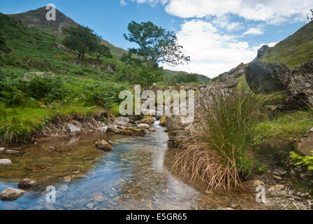 Esegui uno squat Beck, Rannerdale con Whiteless Pike. Vicino a Buttermere, Lake District Foto Stock