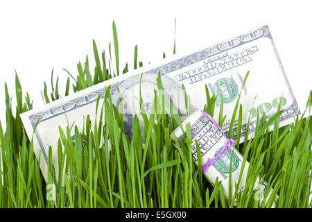 100 le fatture del dollaro crescente nell'erba verde, il concetto di finanziamento Foto Stock