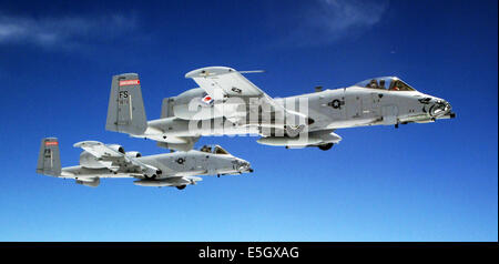 Una coppia di stati uniti Air Force A-10 Thunderbolt II aeromobili assegnati alla 188th Fighter Wing, calo Air National Guard Base, Fort Foto Stock