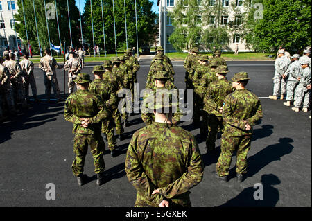 Soldati finlandesi stand in formazione durante lo sciopero di Saber 2014 alla cerimonia di apertura per le Adazu Area Formazione in Lettonia, 9 giugno Foto Stock