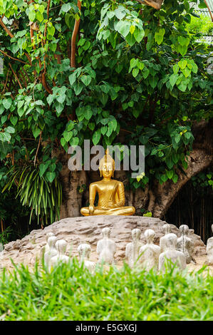 Il Buddha sotto la struttura Bo al Wat Phan-Tao tempio in Chiang Mai, Thailandia Foto Stock