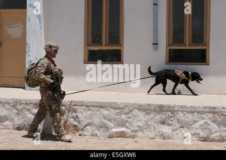 Stati Uniti Army Spc. Adam Thiss e il suo cane Livee, sia assegnato a una tattica di rilevatore di esplosivi cane team con il primo plotone, Bra Foto Stock