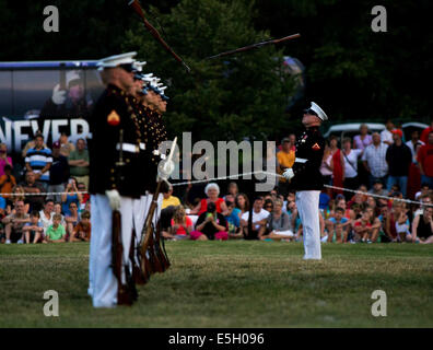 Stati Uniti Marines con il Silent Drill Team effettuano durante un tramonto Parade presso il Marine Corps War Memorial in Arlington, Virginia, Giugno Foto Stock
