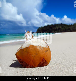 Cocktail di cocco sulla spiaggia caraibica Foto Stock