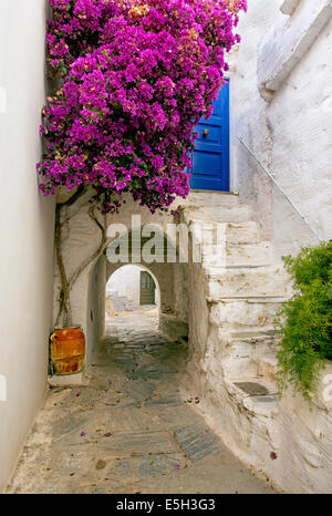 Un tipico e pittoresco sentiero acciottolato nel tradizionale insediamento medievale di Ano Syros (Chora) in Syros Island, Cicladi Grecia Foto Stock