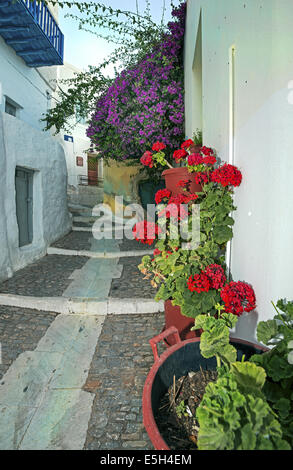 Un tipico e pittoresco sentiero acciottolato nel tradizionale insediamento medievale di Ano Syros (Chora) in Syros Island, Cicladi Grecia Foto Stock