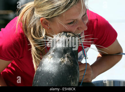 Rostock, Germania. Il 25 giugno, 2014. Studente laureato Tamara Heinrich riceve un bacio da Luca di tenuta dopo aver eseguito diversi esercizi per la guarnizione della stazione di ricerca Hohe Duene a Rostock, Germania, 25 giugno 2014. Foto: BERND WUESTNECK/dpa/Alamy Live News Foto Stock