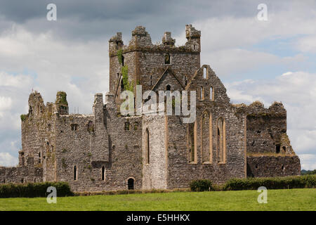 Irlanda, County Wexford, Dunbrody abbey Foto Stock