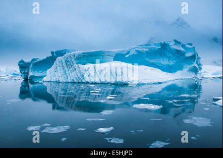 Iceberg nelle acque antartiche, Enterprise Isola, Antartide Foto Stock