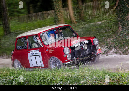 1964 Mini Cooper S, driver Rauno Aaltonen sulla tappa di rally al 2014 Goodwood Festival of Speed, Sussex, Regno Unito. Foto Stock