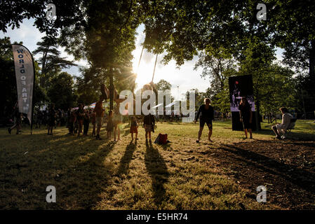 Malmesbury, Regno Unito, 25/07/2014 : Atmosfera al WOMAD - un mondo di musica, arte e danza. I bambini giocano n uno swing in alberi illuminato da una bassa sera sun. Foto di Julie Edwards Foto Stock