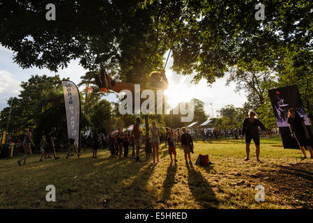 Malmesbury, Regno Unito, 25/07/2014 : Atmosfera al WOMAD - un mondo di musica, arte e danza. I bambini giocano n uno swing in alberi illuminato da una bassa sera sun. Foto di Julie Edwards Foto Stock