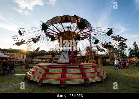 Malmesbury, Regno Unito, 25/07/2014 : Atmosfera al WOMAD - un mondo di musica, arte e danza. Un tradizionale alimentato a vapore luna park in serata. Foto di Julie Edwards Foto Stock