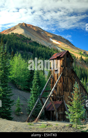 Albero e casa di montagna rossa n. 3, Yankee Girl miniera, nei pressi di Ouray, Colorado, STATI UNITI D'AMERICA Foto Stock