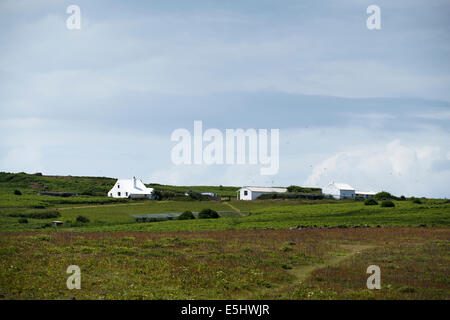 Edifici della fattoria, Skokholm Island, South Pembrokeshire, Wales, Regno Unito Foto Stock