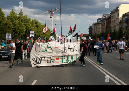 Copenhagen, Danimarca. 31 Luglio, 2014. Circa quattrocento persone dimostra presso l ambasciata degli Stati Uniti a Copenhagen, protestando contro il sostegno americano a Israele e la guerra di Gaza. Una foto la dimostrazione treno muove dall'ambasciata statunitense per l'ambasciata Israeliana. La dimostrazione è stata organizzata da privati tramite Facebook in 4 giorni. Credito: OJPHOTOS/Alamy Live News Foto Stock