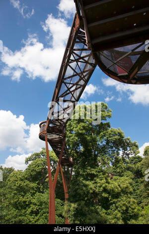 I Giardini di Kew Xstrata Treetop marciapiede Foto Stock