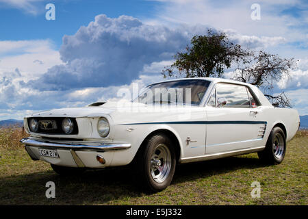 White Ford Mustang Foto Stock