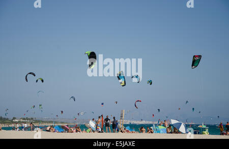 Kitesurfisti e windsurf sulla spiaggia di Ensenada de Bolonia, Costa de la Luz, Tarifa, Spagna Foto Stock