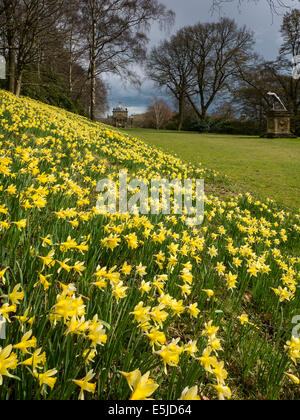 Daffodil il tempo al Castle Howard, vicino a Malton, North Yorkshire. Il Tempio dei Quattro Venti Foto Stock