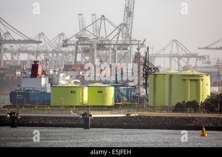 Paesi Bassi, Rotterdam, porto di Rotterdam. Contenitore in porto o porto. Primo piano il GNL, liquido lo stoccaggio del gas naturale Foto Stock