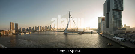 Paesi Bassi, Rotterdam, ponte Erasmus. Sunrise. Vista dalla nave da crociera MS Rotterdam. Sfondo chiamato Ponte De Hef Foto Stock