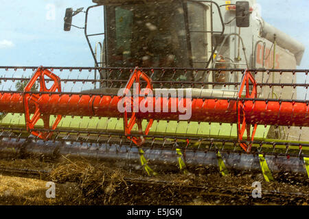 Combinare la raccolta di frumento su un campo, Repubblica Ceca Foto Stock