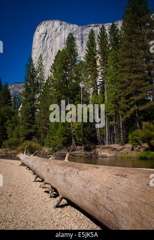 Vista di El Capitan, Yosemite National Park, California USA Foto Stock