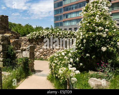 Irlandese Memoriale della fame in Lower Manhattan, New York, Stati Uniti d'America Foto Stock