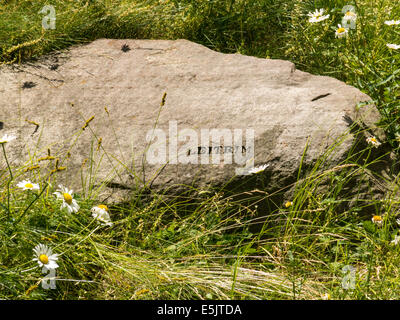 Irlandese Memoriale della fame in Lower Manhattan, New York, Stati Uniti d'America Foto Stock