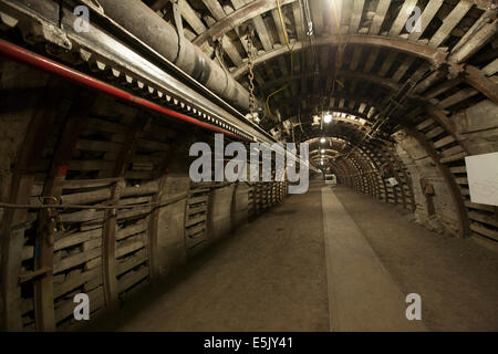 La Coal Mining Museum Guido a Zabrze, Polonia 2014 Foto Stock