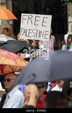 Grenoble, Francia. 02Aug, 2014. Pro-Palestinian manifestazione contro Israele dell operazione militare a Gaza. Grenoble il 2 agosto. Grenoble, Francia - 08/02/2014 Credit: Thibaut/Alamy Live News Foto Stock