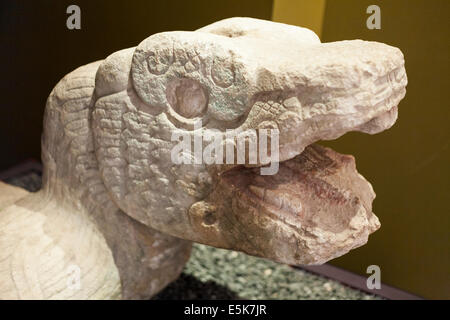 Scolpita la testa del serpente. Artefatto maya esposta nel museo di Merida. Recuperato da un sito archeologico in Yucatan. Foto Stock