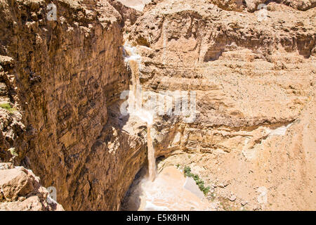 Israele, il Deserto della Giudea, una inondazione a Wadi Tzeelim Foto Stock