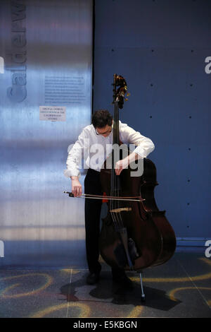 Double bass player tuning Foto Stock