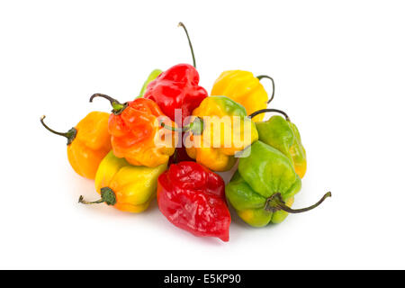 Scotch Bonnet Peperoni, Hot Boabs cofano Foto Stock