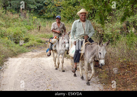 I contadini a cavallo degli asini, vicino Jalcomulco, Veracruz, Messico Foto Stock