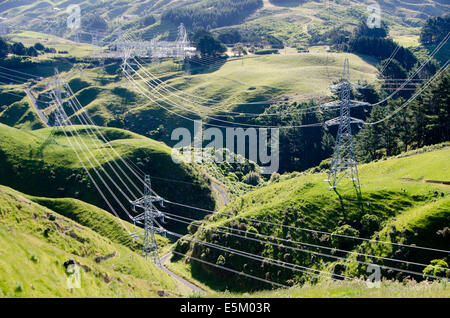 Trasmissione della potenza elettrica pilone, Belmont Parco Regionale, Wellington, Isola del nord, Nuova Zelanda Foto Stock