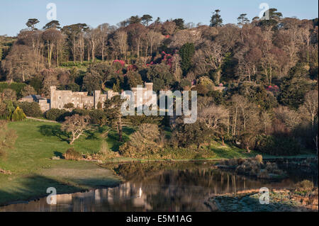 Caerhays Castle, Cornwall. Il castello fu costruito c.1810. I giardini offrono la più grande collezione di magnolie in Inghilterra Foto Stock