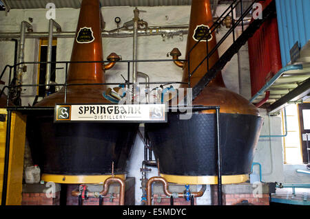 Springbank distillery ancora house Foto Stock