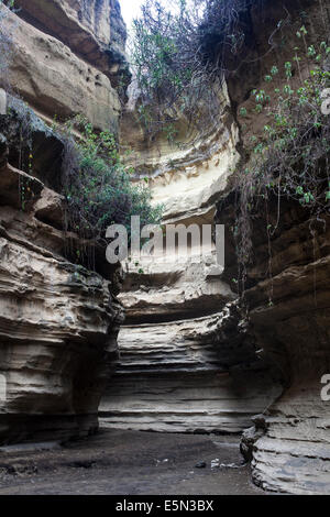 Le formazioni rocciose in Hell's Gate National Park Gorge Foto Stock