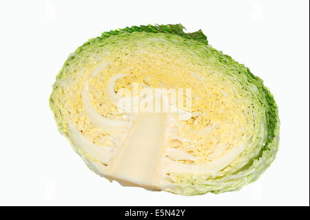 Cavolo verza (Brassica oleracea var. sabauda) Foto Stock