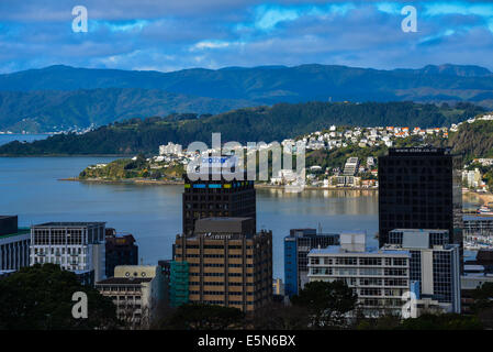 Wellington skyline di bay city di Wellington in Nuova Zelanda con vista della baia in background presi dalla osservazione Kelburn collina sopra Foto Stock