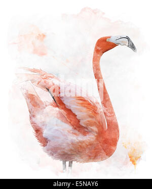 Acquerello la pittura digitale di Flamingo Bird Foto Stock