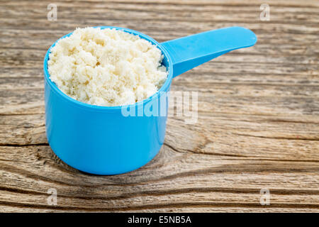 La proteina del siero di latte in polvere in una plastica blu misurino contro legno zigrinato Foto Stock