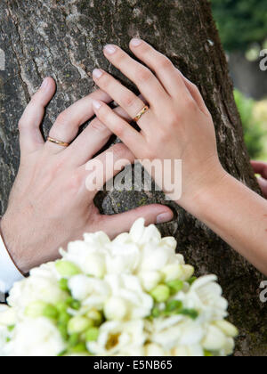 Sposa e lo sposo mani appoggiate su un tronco di albero Foto Stock