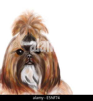 Ritratto di un cane.Disegno di un muso di un soffice, piccolo cane. La lana sulla testa è raccolto in un sacco. Foto Stock